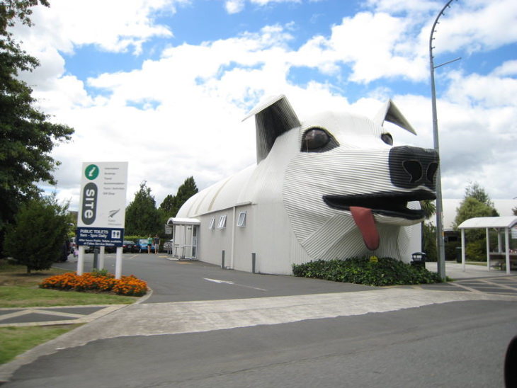 Buildings that look like other things The "Goodest" Boy is located in Tirau, New Zealand