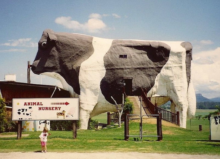 Buildings that look like other things The Big Bull in Wauchope, Australia, was viewing platform shaped like a bull (torn down in 2007)