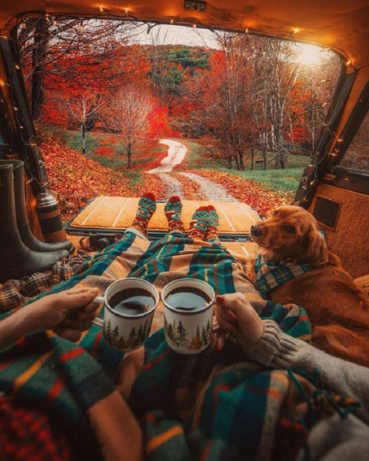 Autumn 2020, coffee, camp, dog