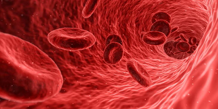 golden blood blood cells in the blood vessel