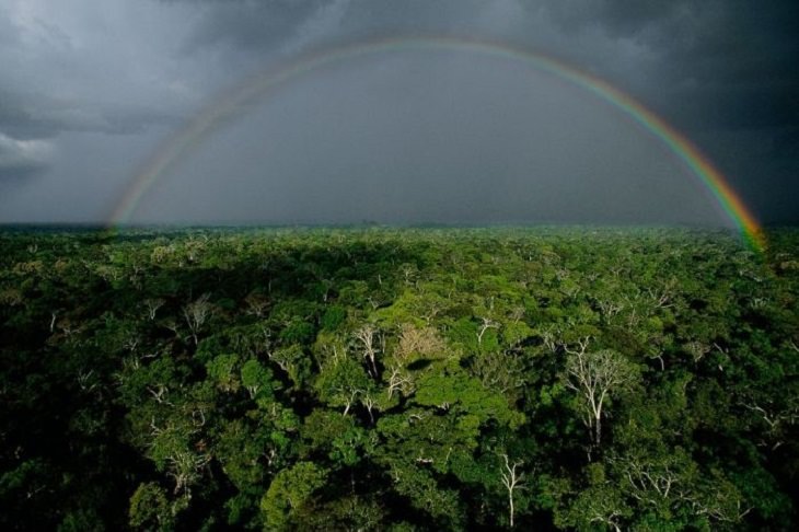 Gorgeous pictures of different parts of the world as taken from the air by famous environmentalist, activist, journalist and photographer from France, Yann Arthus-Bertrand 