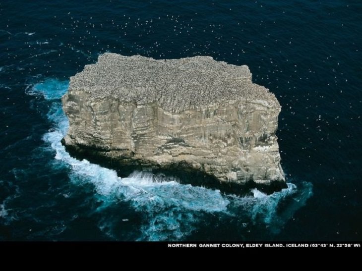 Gorgeous pictures of different parts of the world as taken from the air by famous environmentalist, activist, journalist and photographer from France, Yann Arthus-Bertrand 