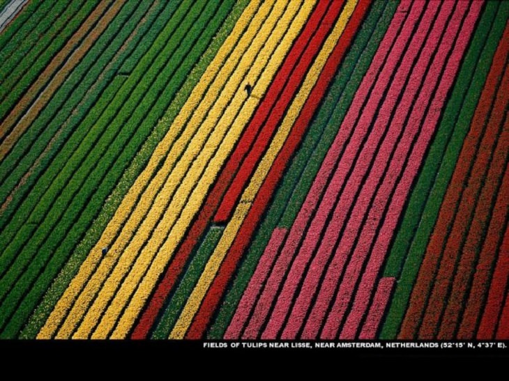 Gorgeous pictures of different parts of the world as taken from the air by famous environmentalist, activist, journalist and photographer from France, Yann Arthus-Bertrand 