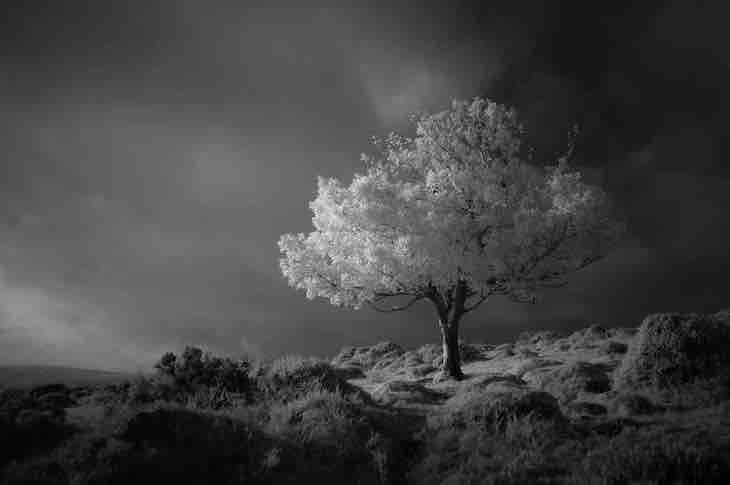 Landscape Photography Awards Highlight UK's Beauty, “Fantasy” by Neil Burnell