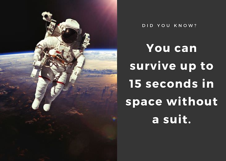 15 Intriguing Facts About the World Around Us, survival in space