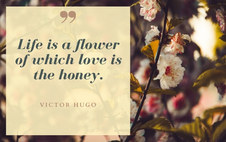 Life Beautiful Quotes "Life is a flower of which love is the honey." - Victor Hugo