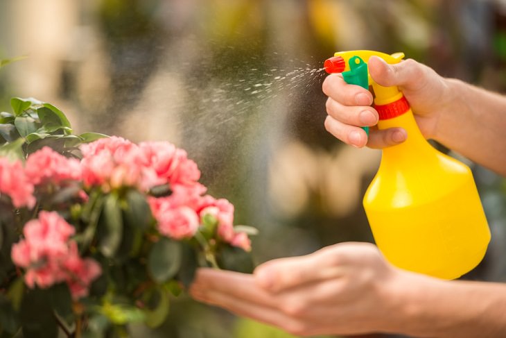 Baking Soda for Garden, cleaning plants