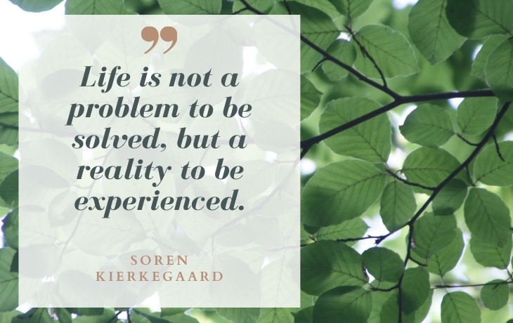 Life Beautiful Quotes "Life is not a problem to be solved, but a reality to be experienced." - Soren Kierkegaard