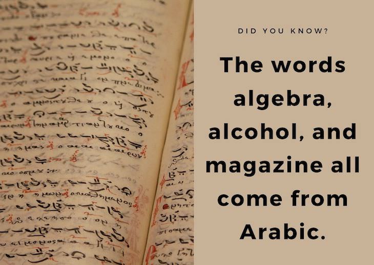15 Intriguing Facts About the World Around Us, words originating from Arabic