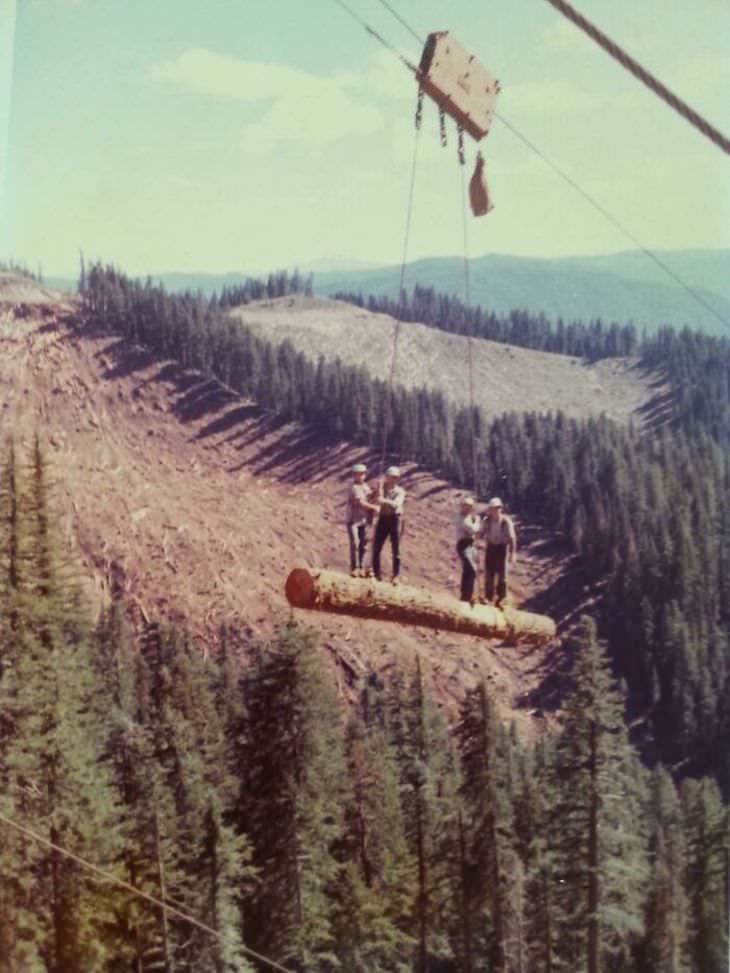 Woodstock 1969 sound crew members, Log Lift in Oregon, 1973