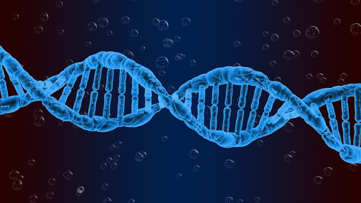 Aging Myths DNA
