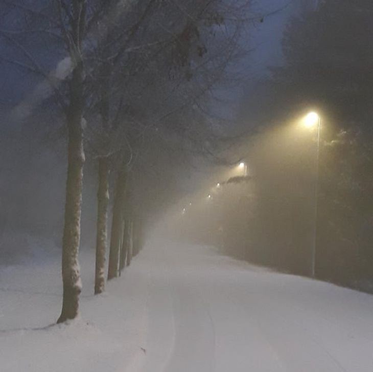 Finland, winter night