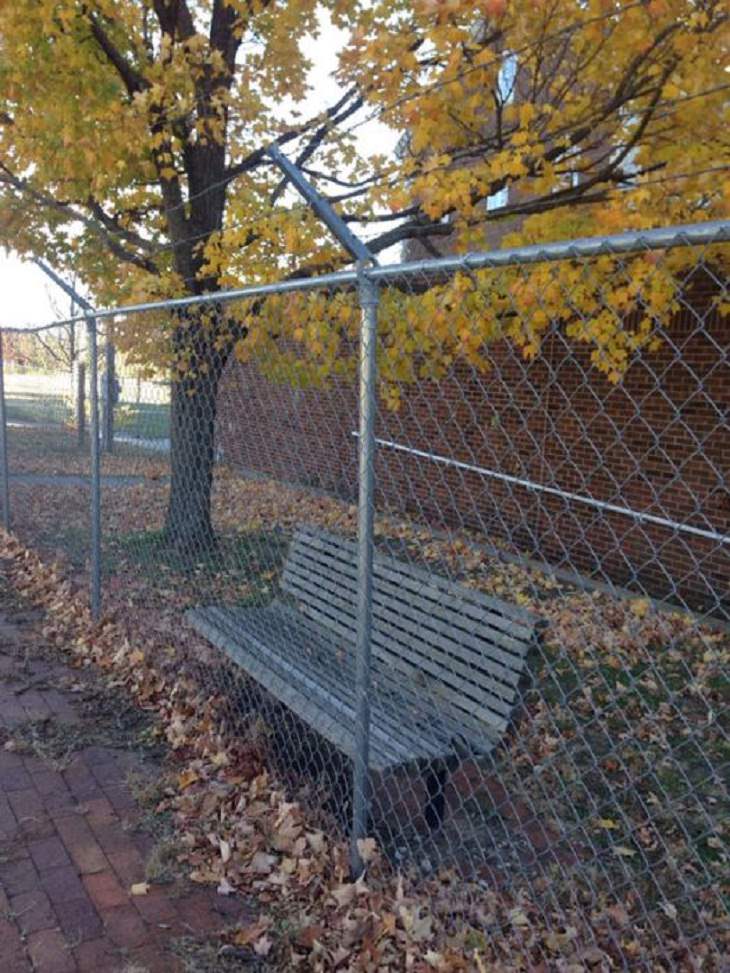 Pointless Inventions, bench