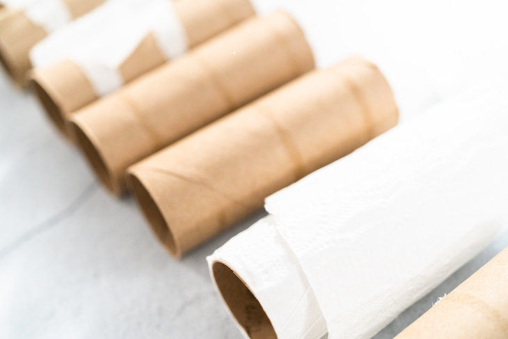 11 Household Items You Should NOT Throw Away, toilet paper tubes