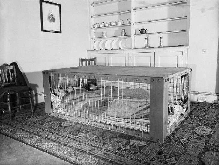 Odd Vintage Tech Inventions This contraption is a so-called "Morrison shelter”, which was used during WWII as protection from collapsing ceilings from 'Blitz' bombing raids