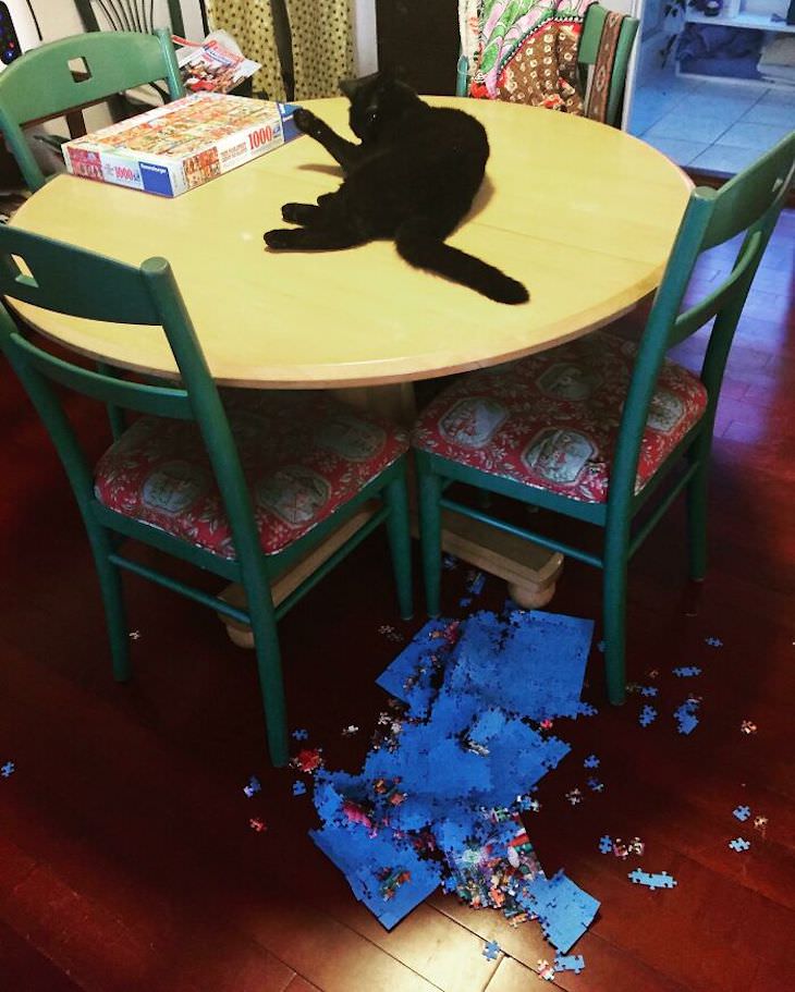 15 Times Cats Were Being Hilariously Mean, knocking over puzzle