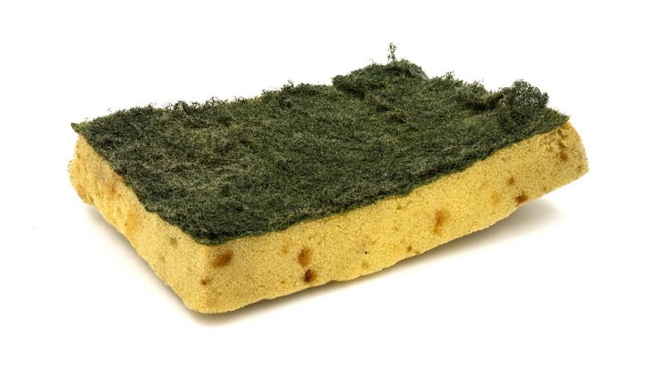Things That Make Your Kitchen Look Messy, sponges