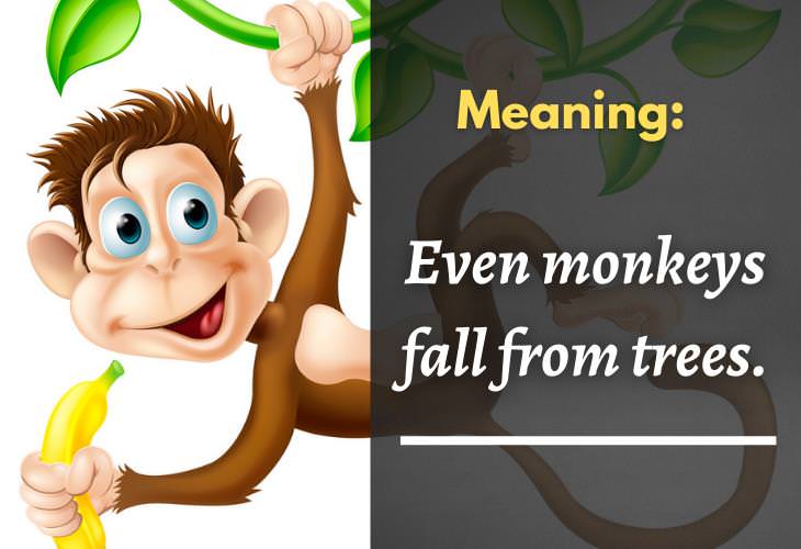 Wise Korean Proverbs, monkey