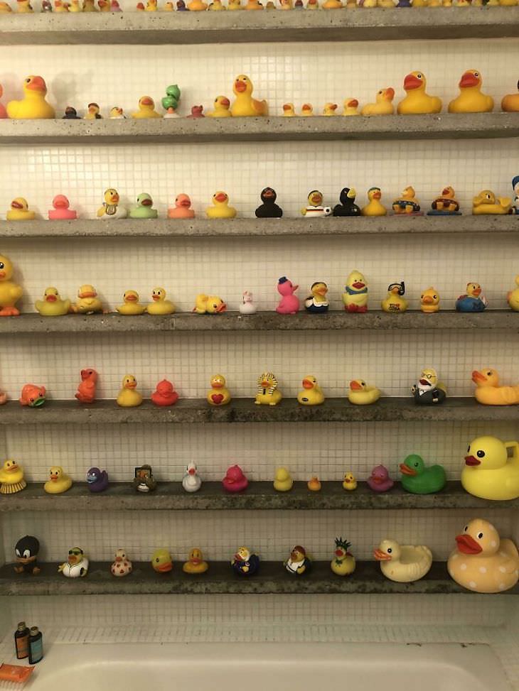 Cool and Random Collections People Keep, rubber ducks