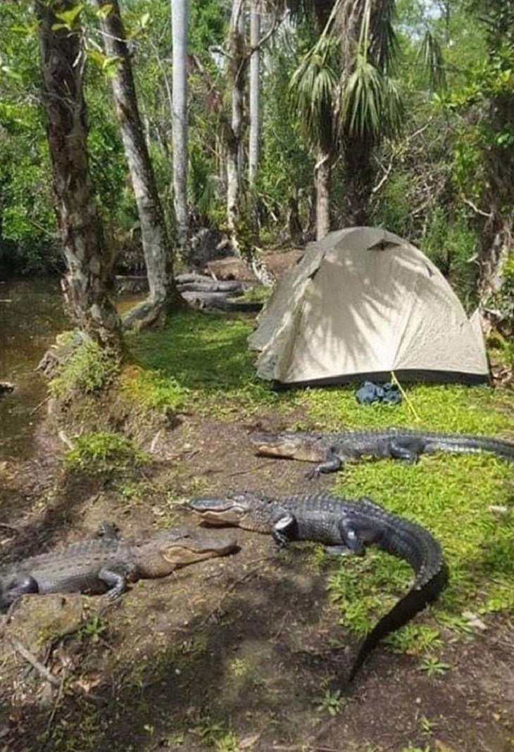 14 Bizarre Pics, Florida , camping 