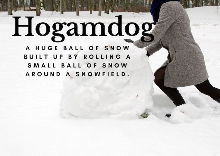 12 Long Forgotten Funny Christmas Words, hogamdog