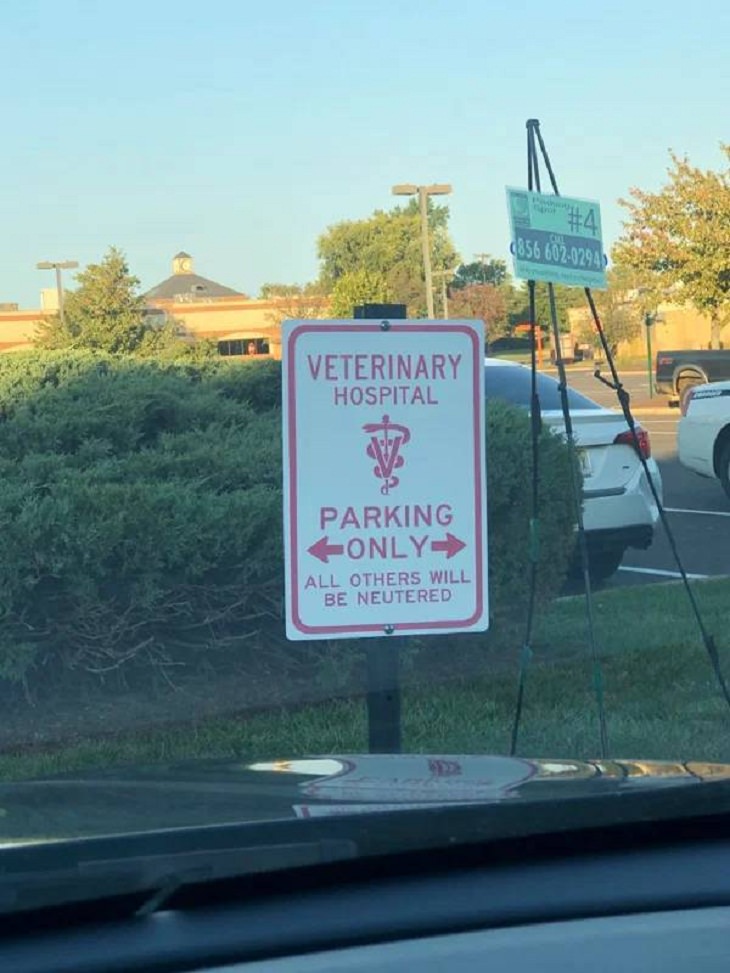 Funny Signs, vet
