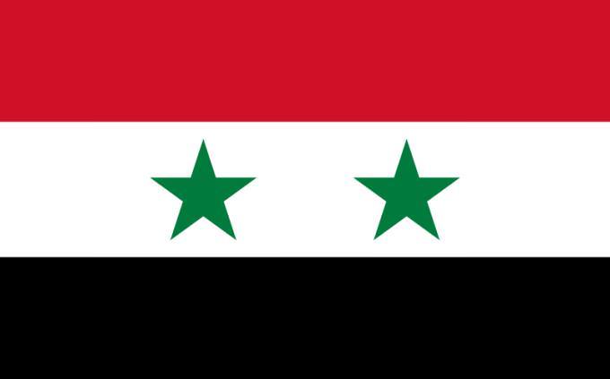 מבחן נכון-לא נכון: דגל סוריה