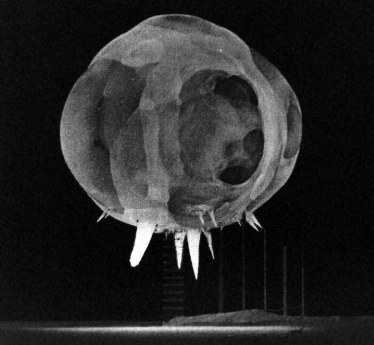 Historical Photos Photo of a nuclear detonation test from the "Tumbler Snapper" (1962)