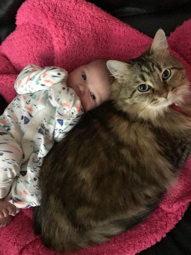Heartwarming Photos, cat and baby