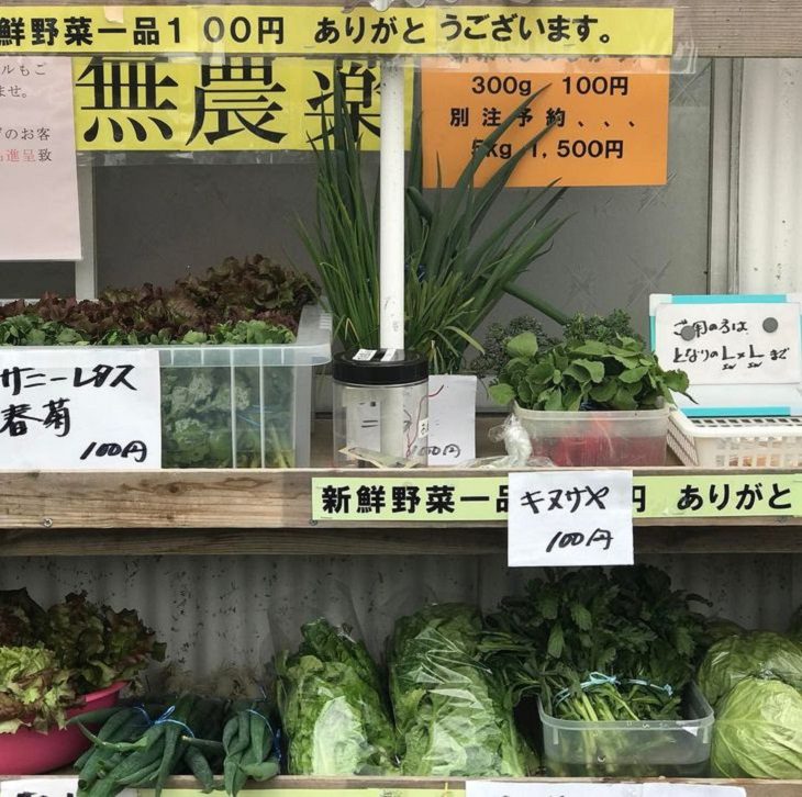Japan, grocery store