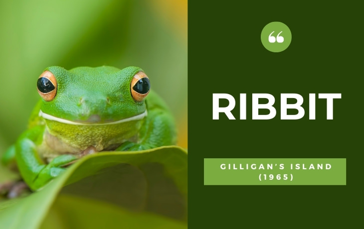 English Words and Phrases That Came from Cinema and TV Ribbit