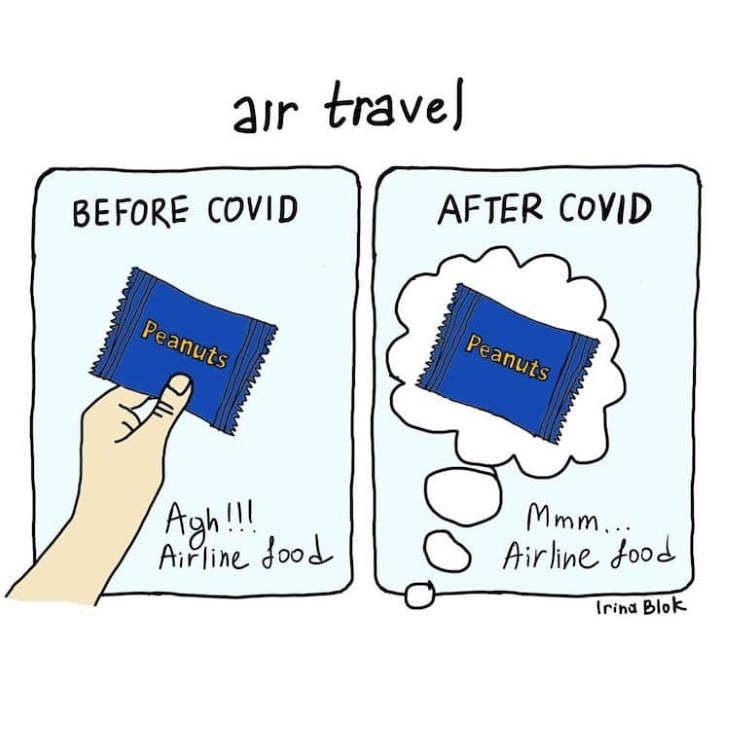 COVID-19 Comics by  Irina Blok air travel