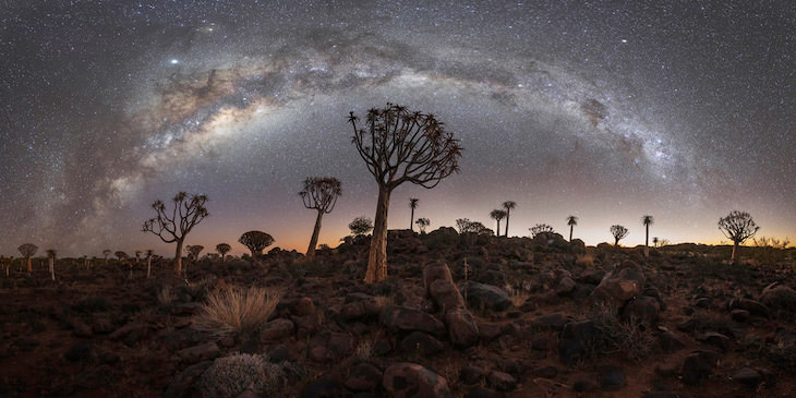 EPSON Pano Awards 2020 Winners, “Quivertree Forest Under The Stars” by Laurent Lacroix
