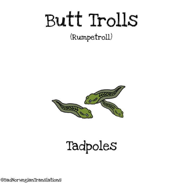 Bad Norwegian Translations butt trolls