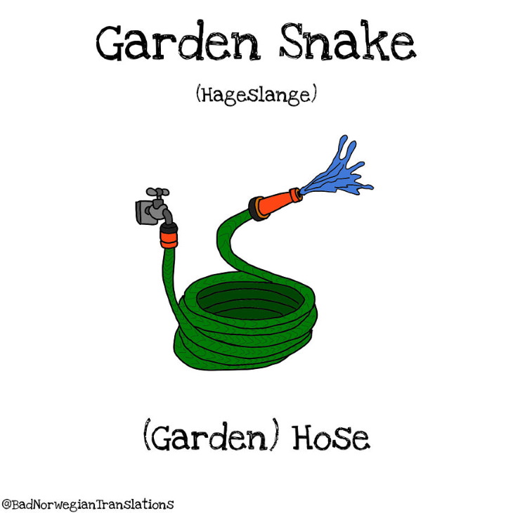 Bad Norwegian Translations garden snake