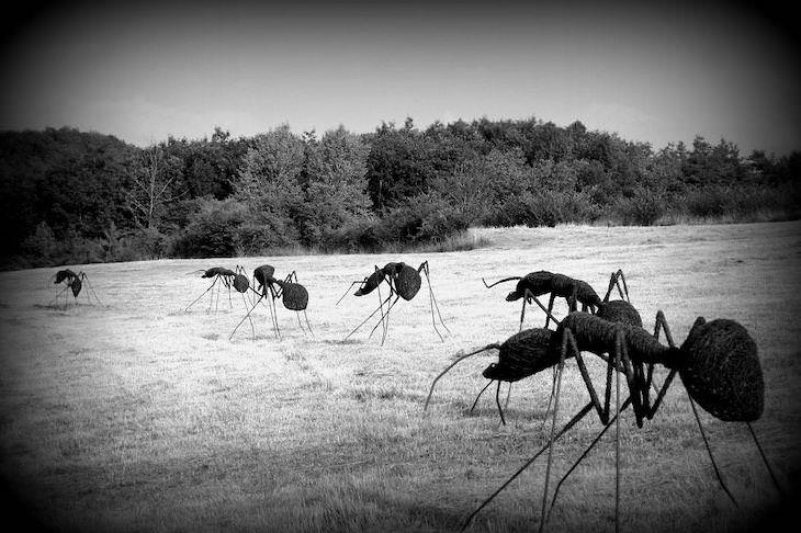 Stunning Wire Sculptures from 12 Different Artists, Iron Wire Ants by David Vanorbeek