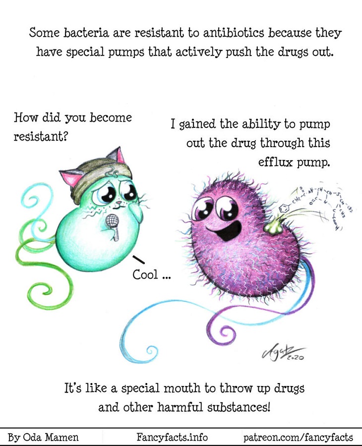 Illustrated Scientific Facts, bacteria