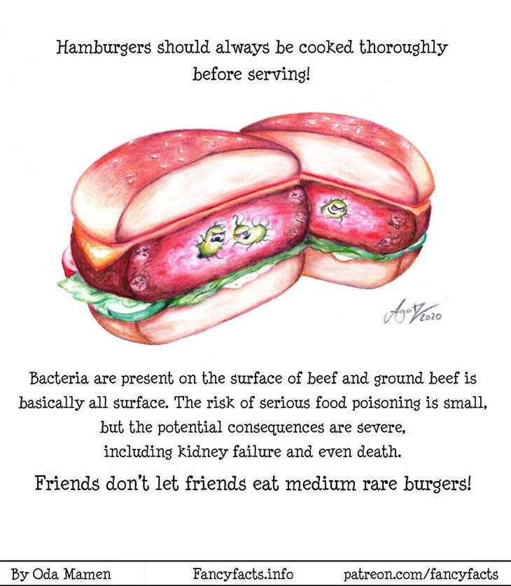 Illustrated Scientific Facts, hamburger 
