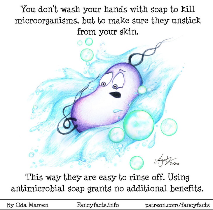 Illustrated Scientific Facts, wash hands