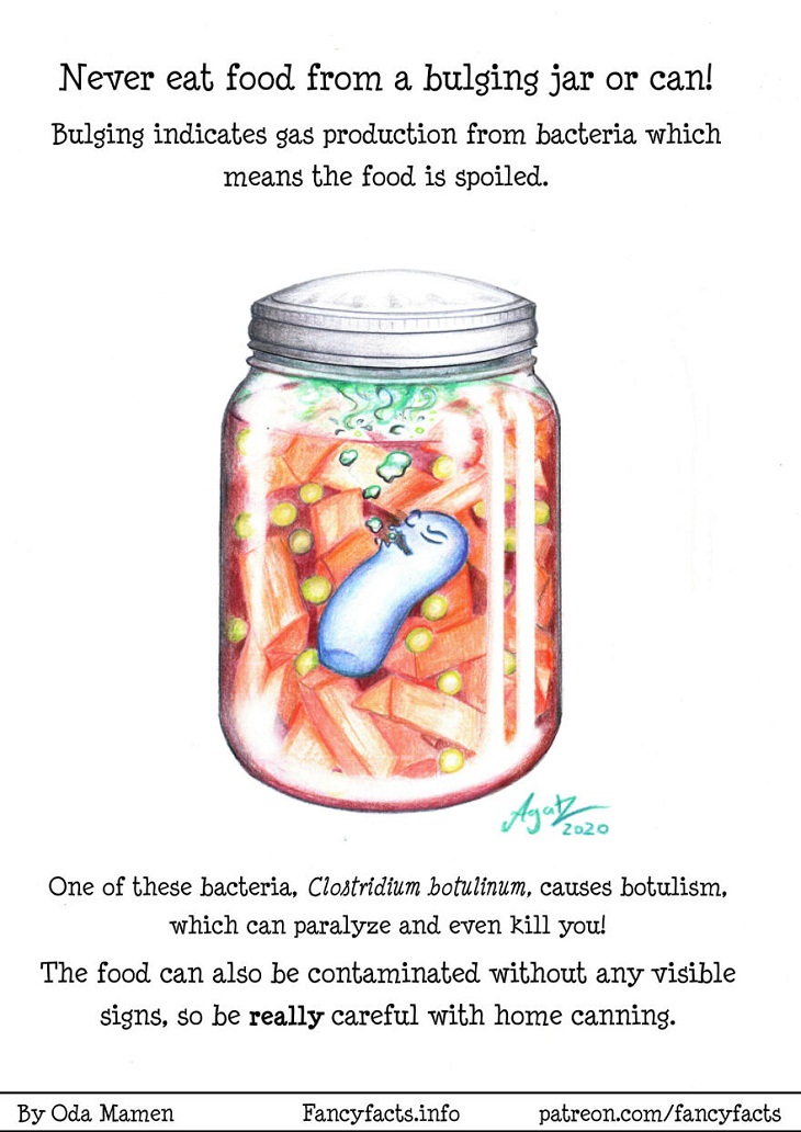 Illustrated Scientific Facts, jar, can