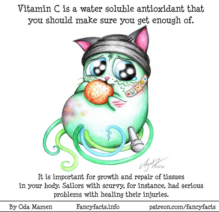 Illustrated Scientific Facts, Vitamin C 