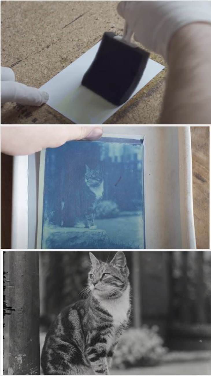 12 Cool Vintage Items Found by Chance, developing glass plate negtive