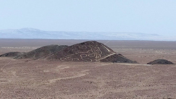 Archeological Discoveries Made in 2020 cat peru