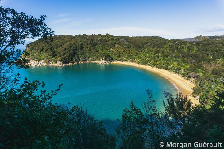 Nature of New Zealand by Morgan Guerault Te Pukatea Bay, Abel Tasman