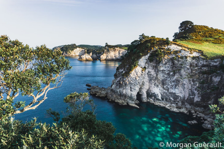 Nature of New Zealand by Morgan Guerault Hahei, Coromandel