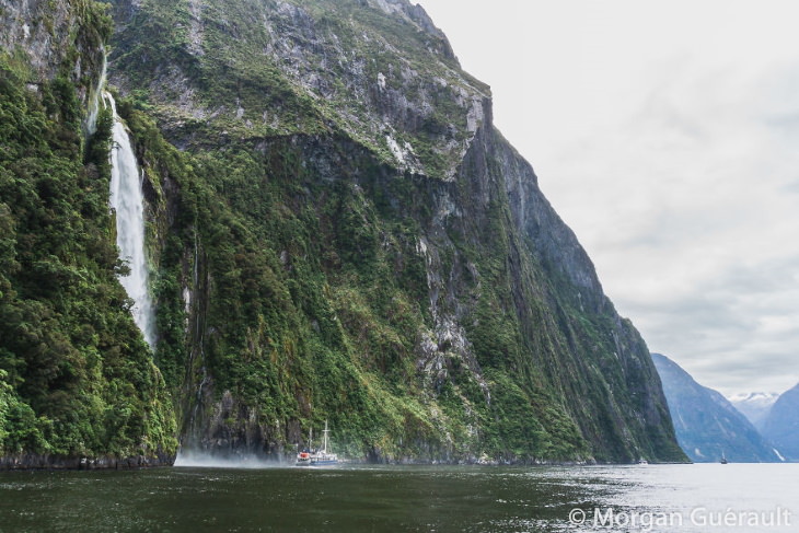 Nature of New Zealand by Morgan Guerault Milford Sound