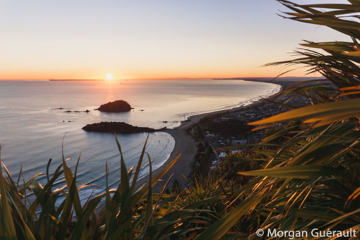 Nature of New Zealand by Morgan Guerault Mount Maunganui, Tauranga