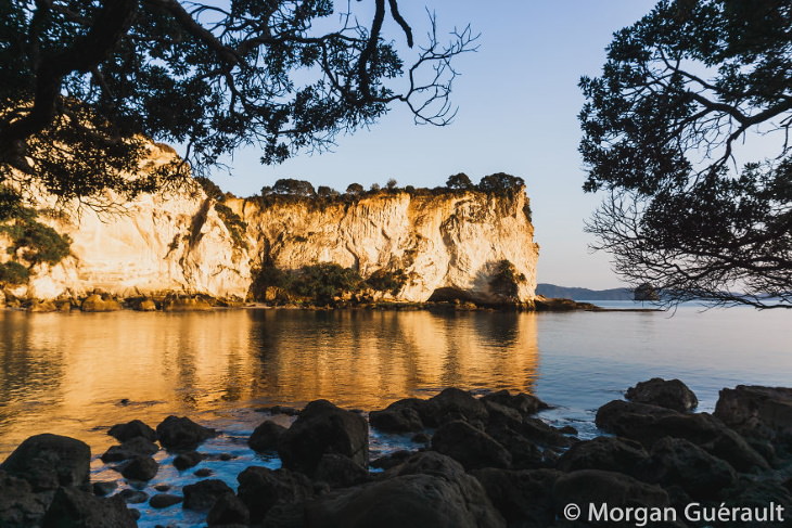 Nature of New Zealand by Morgan Guerault Stingray Bay, Hahei