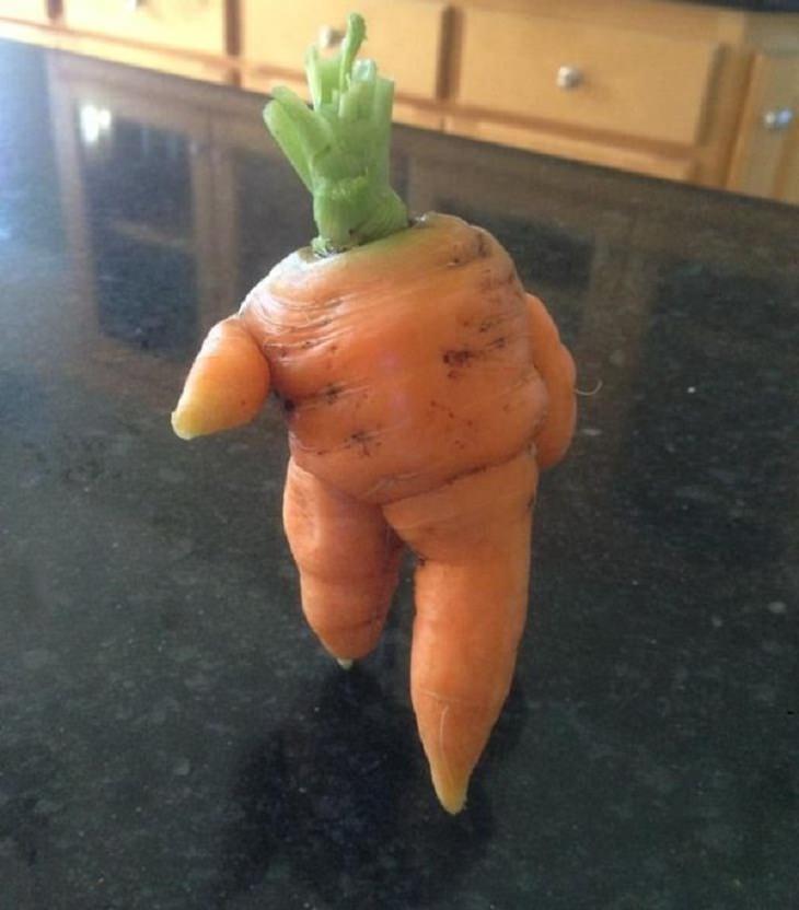 Funny-Shaped Fruits & Veggies, carrot 