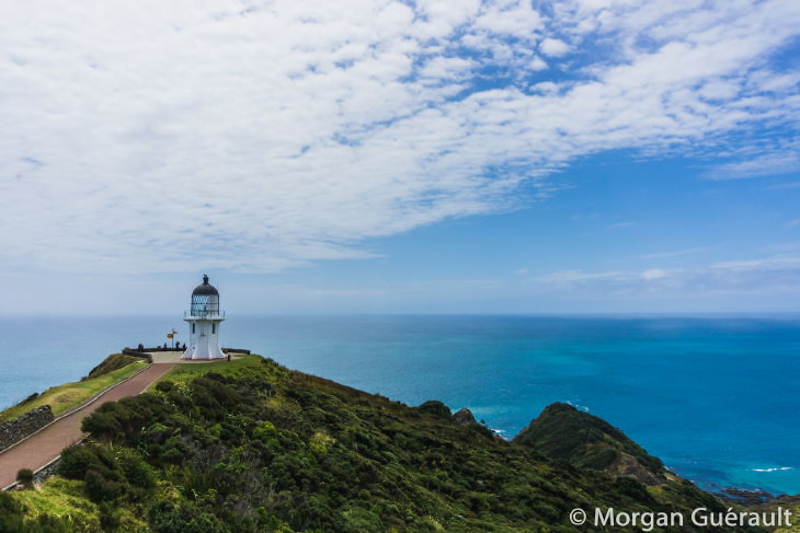 Nature of New Zealand by Morgan Guerault Cape Reinga, Northland